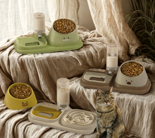 Kitten Food Bowl and Water Set