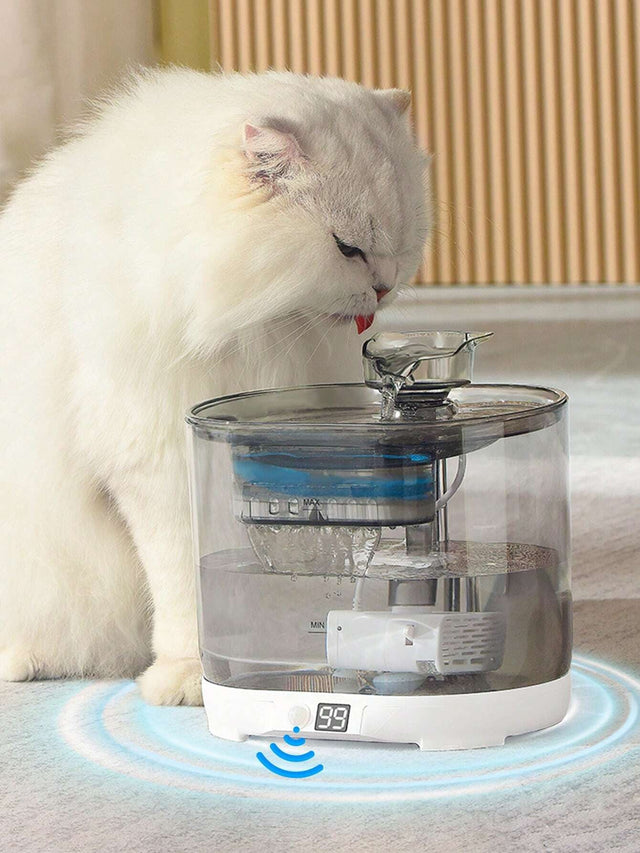 water fountains