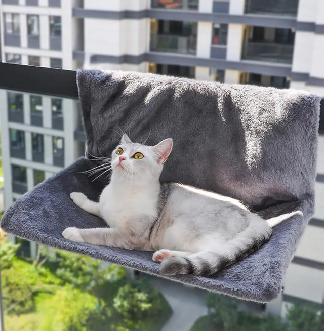 Window Perches