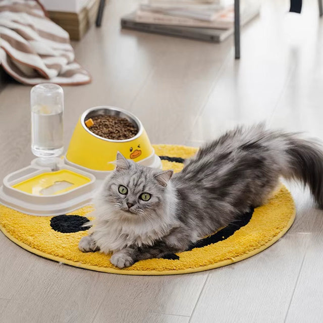Cat Food Bowl and water Set