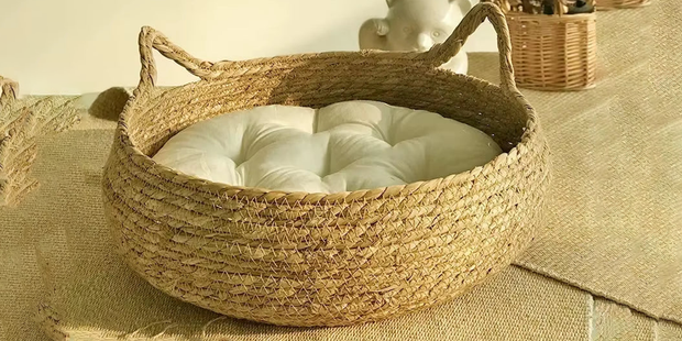 Banner image for: <h2>Natural Comfort for Cats</h2>