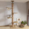 Cat Trees & Towers