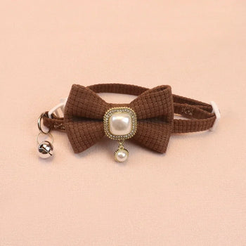 Collars & Leashes