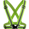 Leashes & Harnesses