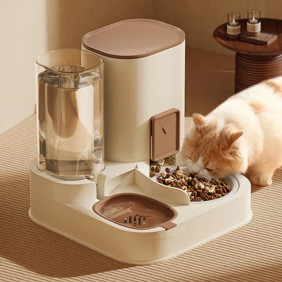 No More Mess! Automatic Cat Feeder with Dry/Wet Food & Water Separation