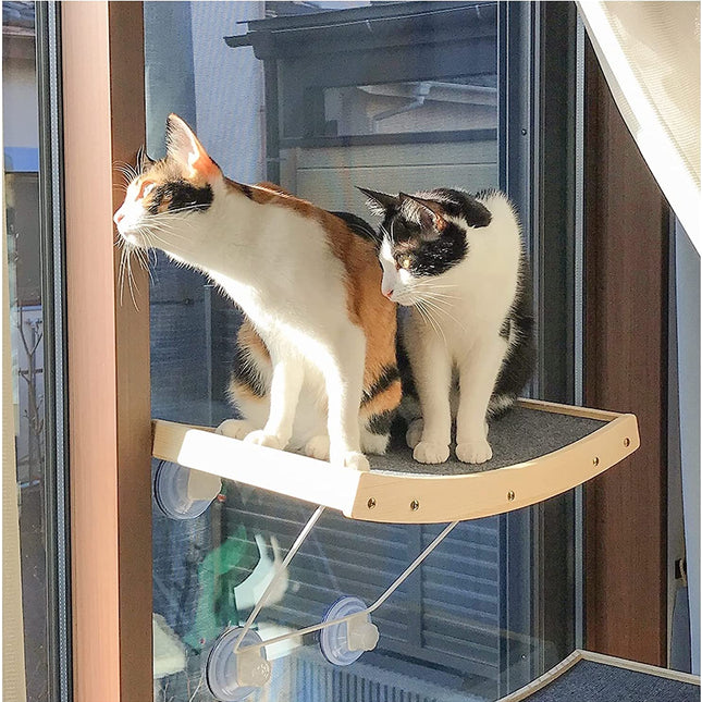 JOYO Cat Window Perch, Cat Hammock with 5Pcs Screw Suction Cups, Cat Window Hammock for Indoor Cats, Cat Window Bed for Sunbathing, Napping & Overlooking, Space Saving, Easy to Assemble