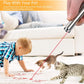 Cat Laser Pointer Toy Rechargeable,Interactive Toy for Cat Kitten Dog with a Mouse Toy,Silver