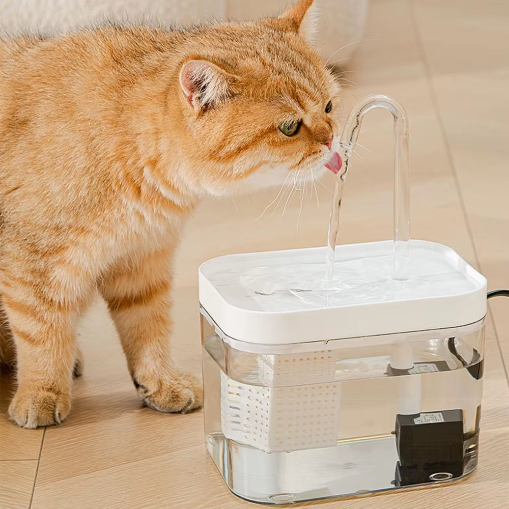 Transparent Cat Water Fountain Filter Smart Automatic Pet Dog Water Dispenser&Burnout Prevention Pump1.5L Recirculate Filtrin