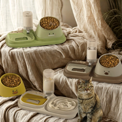 Collection image for: Kitten Food Bowl