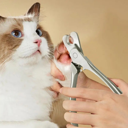 Professional Stainless Steel Pet Nail Clipper for Cat 