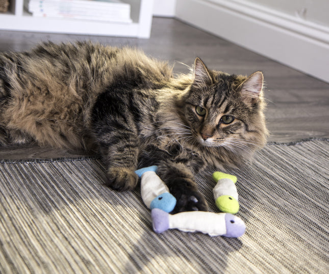 Fish Flop™ Set of 3 Crinkle Catnip Toys