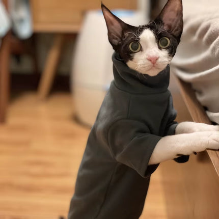 Cozy Cotton Clothes for Sphynx Cats & Small Dogs - Stylish Fall/Winter Outfits for Hairless Pets