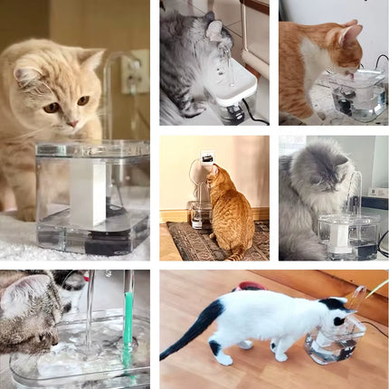 Transparent Cat Water Fountain Filter Smart Automatic Pet Dog Water Dispenser&Burnout Prevention Pump1.5L Recirculate Filtrin