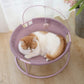 Cat Hammock Elevated Cat Bed with Steel Frame and Teaser Toy Ball, Detachable Washable and Cozy Hammock for Indoor Lounge