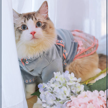 Stylish and Comfortable Cat Apparel for Your Feline Friend