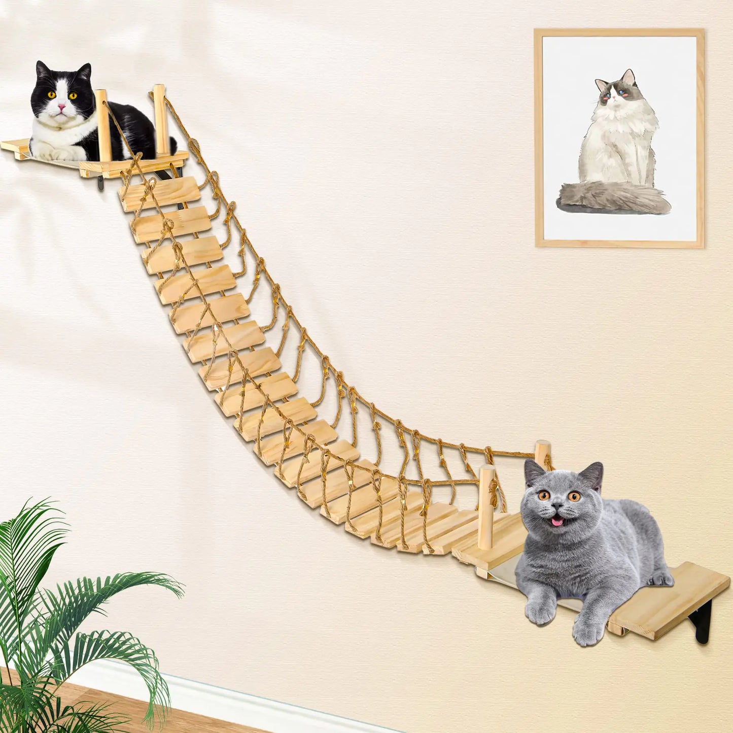 Calmbee Cat Wall Shelves Cat Wall Furniture 70" Cat Bridge Wall Mount Cat Perch Wooden Hammock Cat Tree Cat Climber Cat Cloud Shelf Board Cats Bed